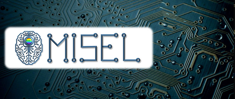 MISEL: Multispectral Intelligent Vision System with Embedded Low-power Neural Computing